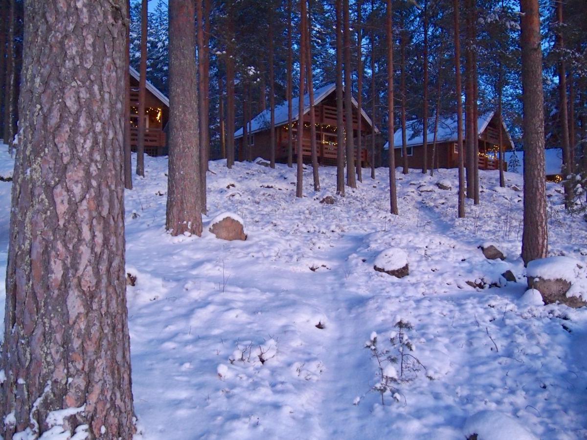 Koskenselaen Lomakylae Villa Пуумала Екстериор снимка